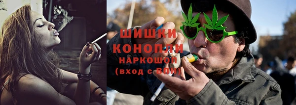 стафф Кодинск