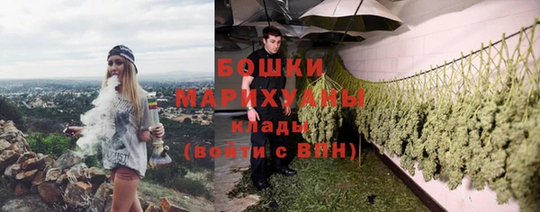 дурь Алзамай