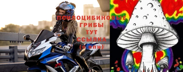 гашик Алексеевка