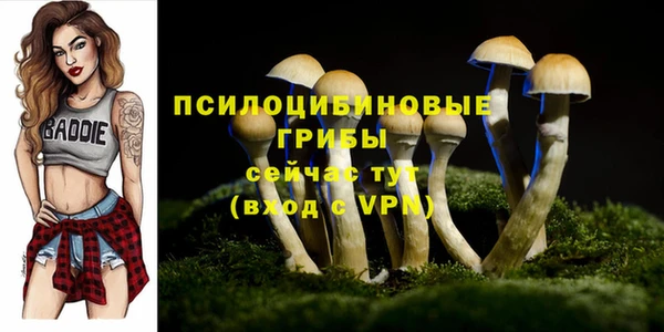гашик Алексеевка